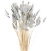 QUARKZMAN 120pz Coda di Coniglio Naturale Fiori Secchi 43cm Mini Erba di Pampa per Decorazioni Floreali Matrimonio Natale, Grigio Blu