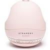 Steamery Levapelucchi Pilo 1, togli pelucchi e lanuggine, 5 W, portatile, ricaricabile, ergonomico, design scandinavo, Rosa