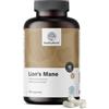 HealthyWorld Criniera di Leone - Hericium Erinaceus - 500 mg - 180 Capsule | Testa di scimmia - Fungo - 500 mg di estratto in rapporto 5:1 - Cibo per il Cervello - Capsule Vegetali - 3 mesi di fornitura