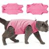 Dotoner Body Gatto Post Operatorio Femmina,Tutina Post Operatoria Gatto con Bottoni, Alternativa al Collare Elisabettiano, Body per Gatto Post Sterilizzazione