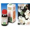 Biancospino 10 50ml Tm