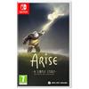 Red Art Games Arise: A Simple Story - Definitive Edition Nintendo Switch
