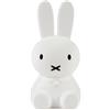 Mr Maria Luce notturna coniglio Miffy First Light