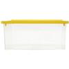 LEGA S.P.A. SCATOLA 4 STAGIONI 22 LT 41 X 34 X 17 LEGA