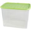 BELLI E FORTI S.R.L. Contenitore Box Marea 67L - 57x39x42 cm, Colori Assortiti, Resistente e Capiente, Perfetto per il Cambio Stagione