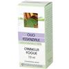 FARMADERBE Srl CANNELLA FOGLIE OE 10ML
