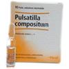 Heel Guna Pulsatilla Compositum Medicinale Omeopatico 10 Fiale x 2,2 ml