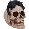 Nemesis Now Forever Friend - Gatto su teschio, 14,5 cm, resina, nero/osso, ornamento a forma di gatto sdraiato su un teschio, decorazione gotica in resina, sapientemente dipinto a mano