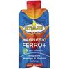 VITA AL TOP Srl Ultimate Sport Magnesio Ferro+ Integratore Contro Stanchezza Monodose 30 ml