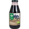 HEALTION Srl SOCIETA' BENEFIT PROBIOS Succo Mirtillo 500ml