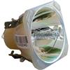 NEC LT30LP, 50029555 LAMPADA PHILIPS SENZA SUPPORTO (SOLO BULBO)