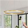 YYUTLUO Lampadario LED Moderno DIY Cerchio | 1 Oro Anelli :60cm=29W | Illuminazione A Sospensione LED In Metallo+Acrilico Telecomando Dimmerabile Lampada Sospensione Soffitto Rotondo Soggiorno