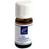 Dr. Taffi Olio Essenziale Eucalipto 10ml