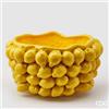 EDG Enzo De Gasperi Vaso Chakra Limoni H 24 Cm D 42 Cm Giallo 81 Frutti