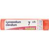 Boiron Lycopodium Clavatum 7ch 80 Granuli