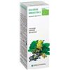 Specchiasol Melissa 17 Tintura Madre 50ml