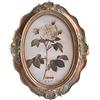 CISOO Vintage Cornice 5 x 7 Ovale Tavolo espositore da Parete Montaggio Cornice Decorazione Domestica Art Deco 9 Tall Bronze
