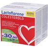 Lactoflorene Colesterolo Bustine Bipack 144 g Polvere per soluzione orale