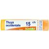 BOIRON Thuya occ 15ch gr - BOIRON - 800025429