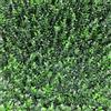 TENAX Siepe Sintetica a Pannelli per Parete Giardino Verticale, Tipo Bosso Verde, Divy 3D Panel Buxus Intense 0,50 x 1 m, componibile per Decorazione e schermatura, Verde Intenso