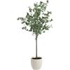 Clove, Piante Artificiali Decorative, Eucalipto Realistico, 150 cm, Albero Grande, Decorazione Casa, Per Interni, Ufficio, Hotel, Eventi