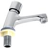 Joyzan Rubinetto Ritardato, Bagno Lavabo Singolo Chiusura Risparmio Miscelatore Rivestito Acqua Cucina Pubblica Lavandino Vasca Ritardato Rubinetti Freddi Pubblici Singoli Doccia Monocomando Bidet