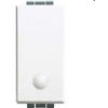 BTicino C4001L Interruttore Illuminabile Serie Luna