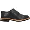 POLLINI - Stringate