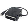 Nuova video suono Adattatore scart - presa jack stereo 3,5 mm uscita cuffia TV