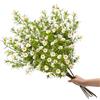 SNAIL GARDEN - 6 margherite artificiali da 192 teste, fiori bianchi realistici con steli rimovibili per decorazione d'interni, matrimonio, composizioni in vaso (76 cm, stile fresco)