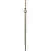 Bosch 1x Adattatore PRO SDS plus, monopezzo (Ø mm, Professional Accessorio Martello perforatore)