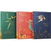 RBA Coleccionables Collezione Storie Meravigliose I. Contiene 3 libri: Le mille e una notte, Alice nel paese delle meraviglie, Lo schiaccianoci