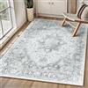 INOVADAY Tappeto 90x150 cm Lavabile in Lavatrice Vintage Antiscivolo Grigio chiaro