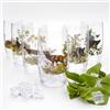 GTK - Geweihe & Trophäen KRUMHOLZ Longdrink Gläser 6 tlg.Set 400ml Höhe 13 cm Glas mit farbigen Jagd Dekor Motiv im Geschenk Karton
