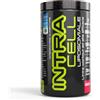 Net Integratori INTRACELL LIPOSOMIALE - 440g Anguria - Intra Workout Ad Alta Efficacia e Rapido Assorbimento Con EAA e BCAA - Maggiore Resistenza Fisica Forza e Energia