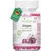 fairvital Caramelle gommose al collagene, 60 pezzi, 1000 mg per dose giornaliera, con sodio e ferro, ad alto dosaggio, senza zucchero, qualità testata e ad alto dosaggio, Made in Germany