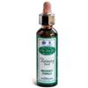Ainsworths Recov Plus 20Ml Omeopatia