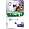 Elanco Italia Spa Advantage 80mg Antiparassitario Spot-on Per Gatti E Conigli Grandi 4 Pipette 0,8ml