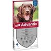 Roger&gallet (lab. Native It.) Advantix Spot-on Per Cani Oltre 25kg Fino A 40kg 6 Pipette
