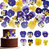 Kexayo 48 Pezzi 8 tipi di fiori naturali essiccati, pressati e commestibili per decorare la torta - Mix di viole del pensiero per cocktail, artigianato fai da te