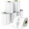 BETCKEY - 102mm x 102mm(4 in x 4 in) Perforated Etichette Termiche per Spedizione e Grandi Quadrate Compatibile con stampanti Zebra e altre [6 Rotoli/2100 Etichette]