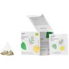 Wilden.herbals | Tisana Biologica in Bustine Compostabili, Infuso diElicriso, Ortica, Zenzero e Fieno Greco per un effetto depurativo Remedium n.7 Detox - Astuccio da 10 Bustine