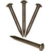 FUXXER® 50 chiodi a testa tonda in ottone antico, 22 mm x 2 mm, set da 50 pezzi