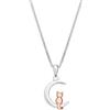 Aeon Collana con ciondolo a forma di gatto e luna, panno per la pulizia e confezione regalo inclusa, regalo per compleanni e occasioni speciali per le donne