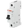 ABB S201 C50 INTERRUTTORE AUTOMATICO 6KA 1P, White