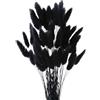 MHDAMAI Piccola Erba Secca di Pampa,Coda di Coniglio Essiccata Mazzi di Erba 60 Coda di Coniglio Pampa Erba Secca Naturale Fiore Artificiale per Matrimonio Decorazione D'interni Domestica Giardino Festa,Nero