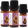 Essences Bulgaria Set Oli Essenziali Biologici Vitalità Essences Bulgaria 25ml (3 pz) | Timo 10ml, Origano greco 10ml, Santoreggia al limone 5ml | 100% Puro e Naturale Non Diluito Grado Terapeutico Non OGM