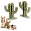 Ferplast Snack Naturale per Roditori, Criceti, Cavie e Conigli, Favorisce l'Igiene Dentale, Stimola il Gioco e offre Gusto e Benessere ogni giorno, a forma di Cactus