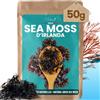 VIRHEA® Muschio di Mare Intera 50g - Alga Secca Irlandese per Superalimento - Ricca di Minerali, Iodio e Vitalità per Energia e Detox - Ideale per Pelle, Capelli e Immunità