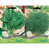 Germisem Levisticum Officinale Semi di Levistico 1 g & Anethum Graveolens Semi di Aneto 4 g